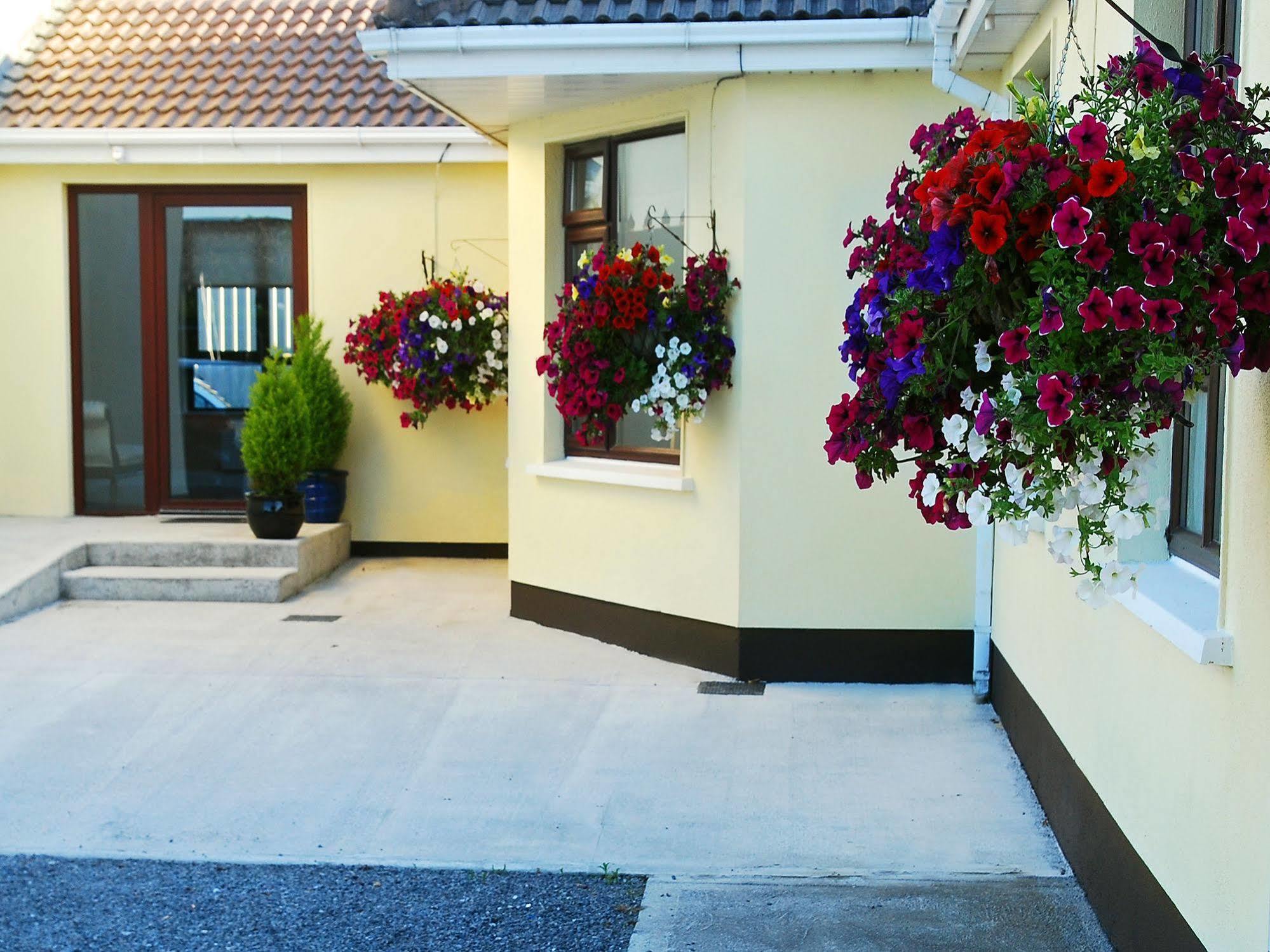 Hillview Self Catering Apartman Lusk Kültér fotó